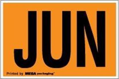Picture of June 2x3